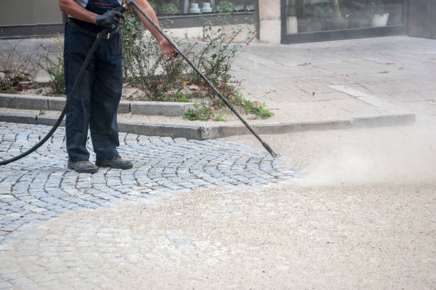 Best Residential Pressure Washing in Mcnary, AZ