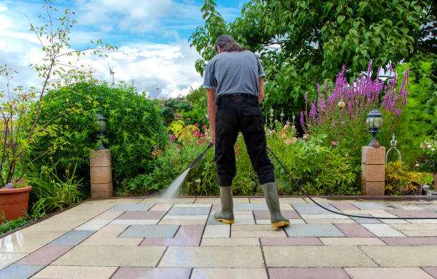 Best Parking Lot Cleaning in Mcnary, AZ